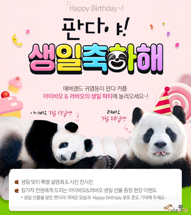 노트펫