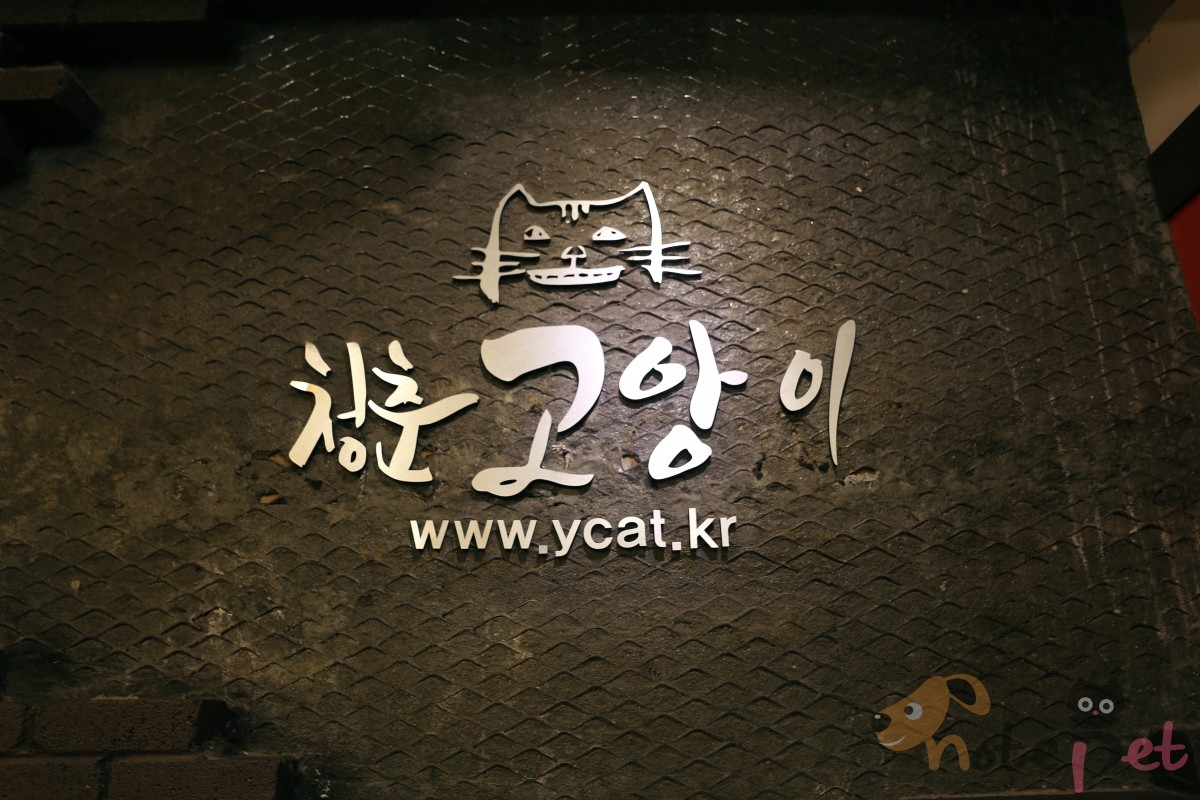 노트펫
