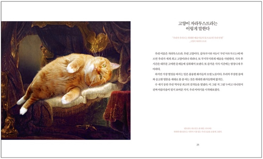 노트펫