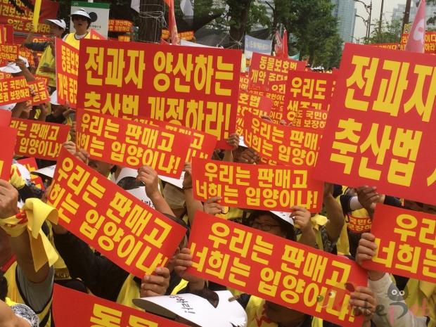 노트펫