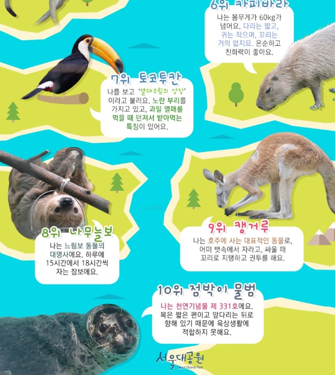 노트펫