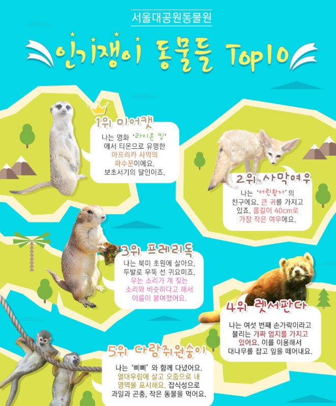노트펫