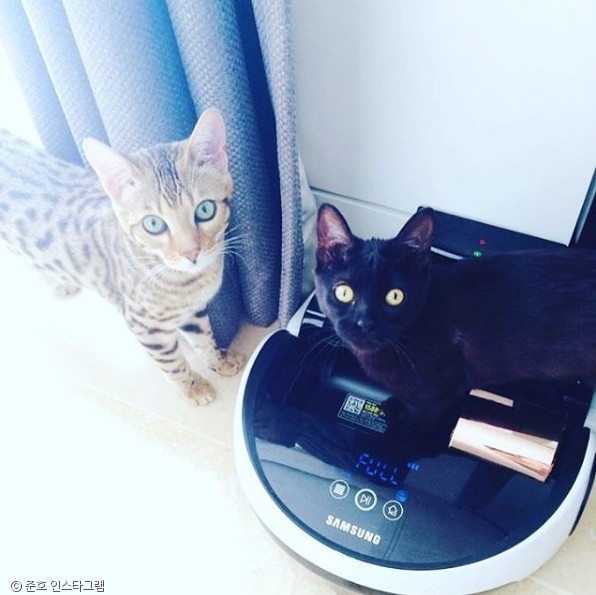 준호산업 이미지