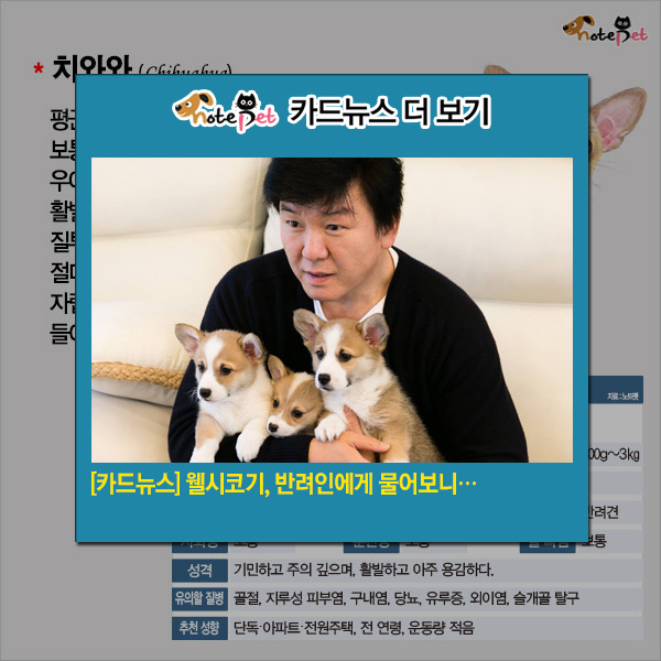 노트펫
