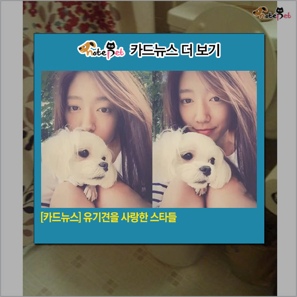 노트펫