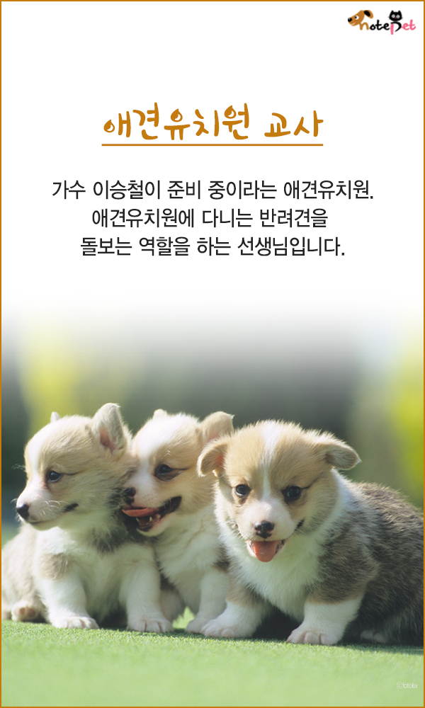 노트펫