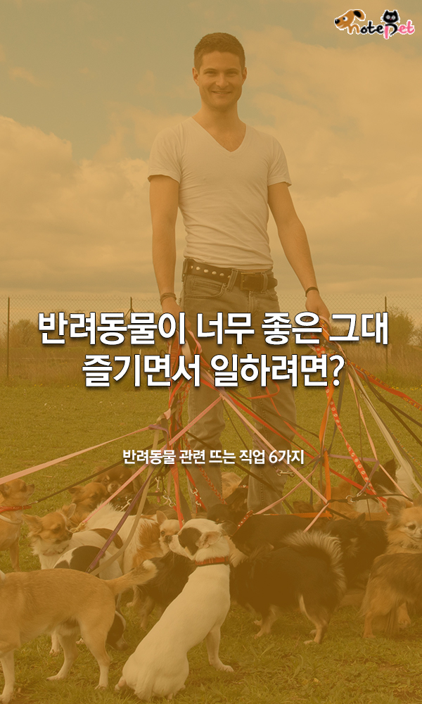 노트펫