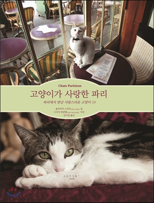 노트펫
