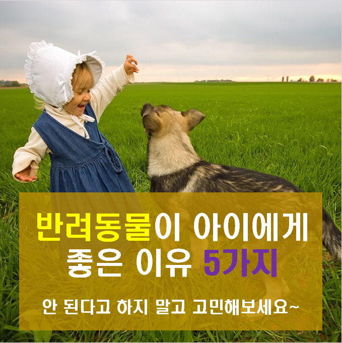 노트펫