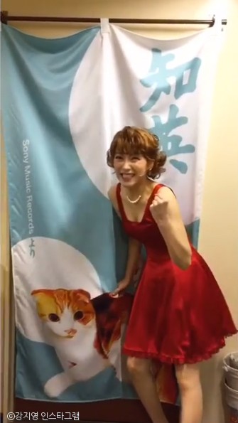 노트펫