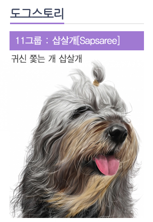 노트펫