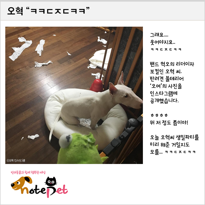 노트펫