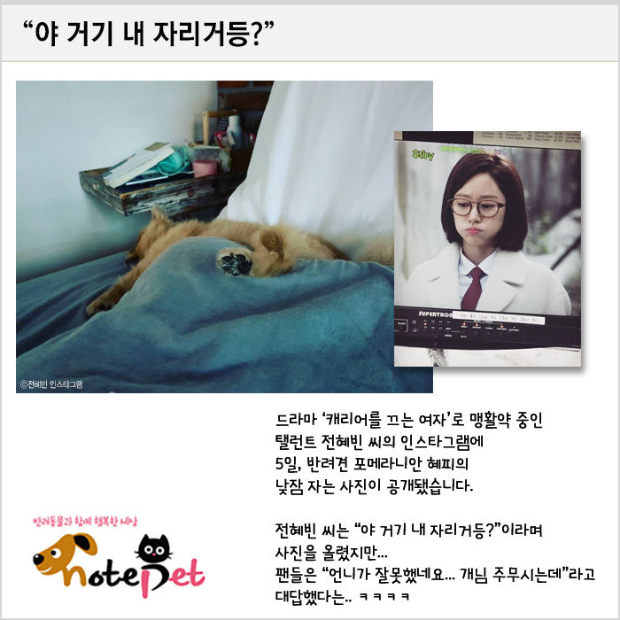 노트펫