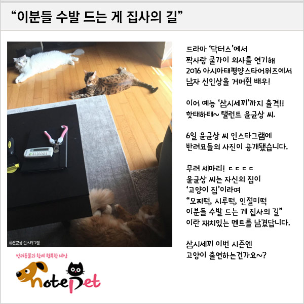 노트펫
