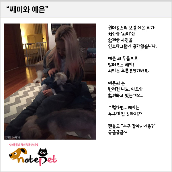 노트펫