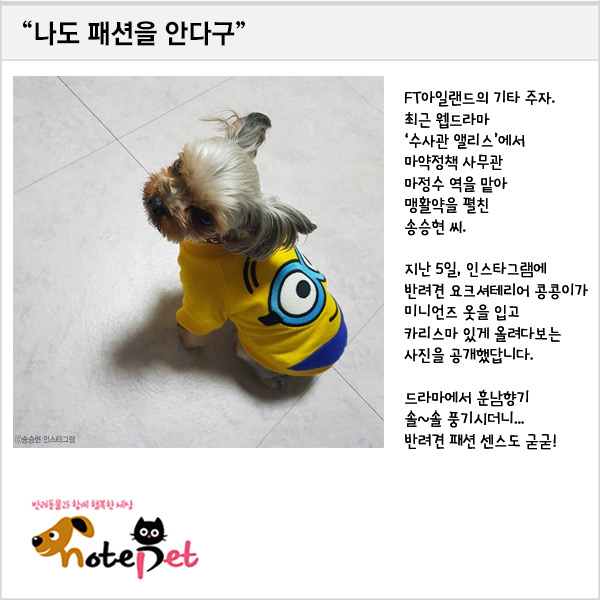 노트펫