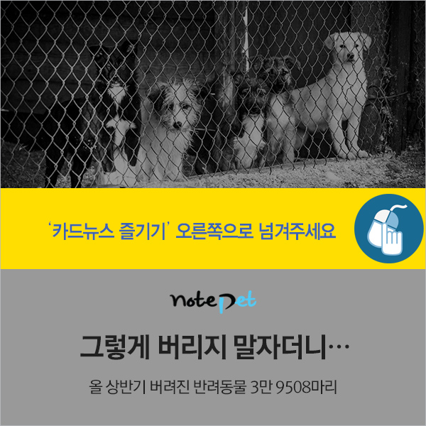 노트펫