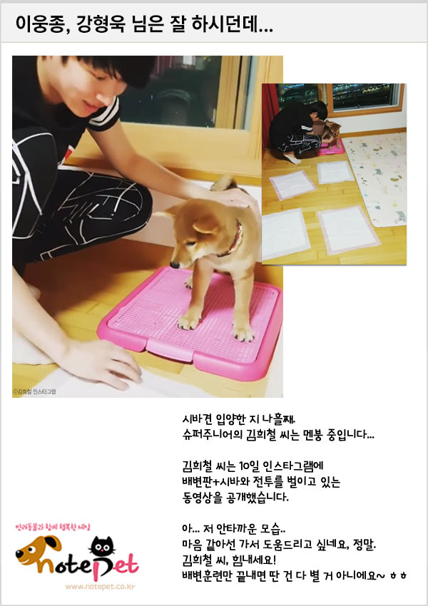 노트펫