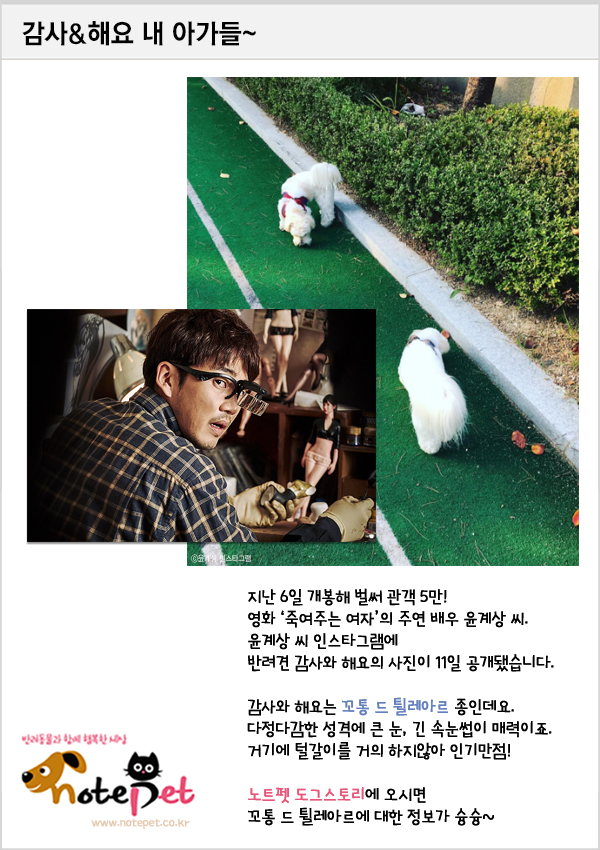 노트펫
