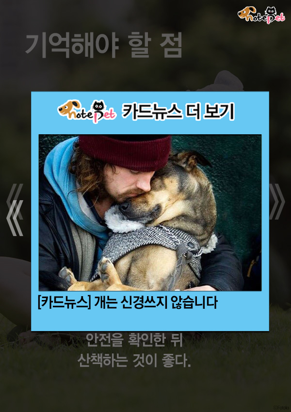 노트펫