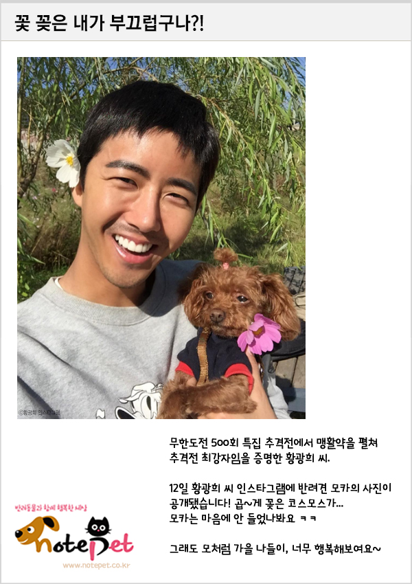 노트펫