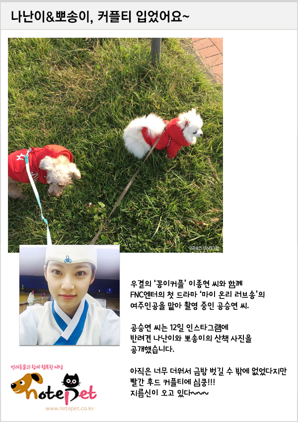 노트펫