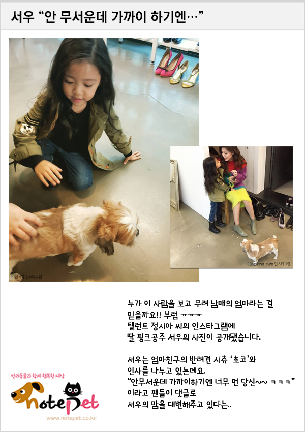 노트펫