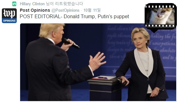 노트펫