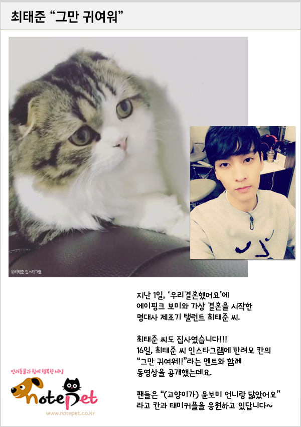 노트펫