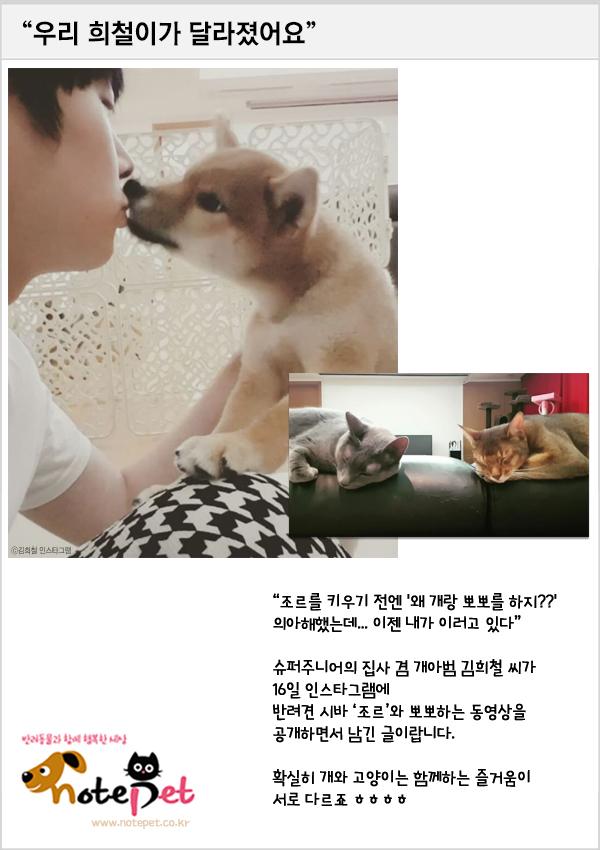 노트펫