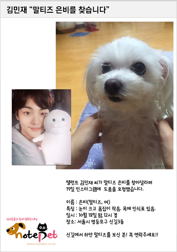 노트펫