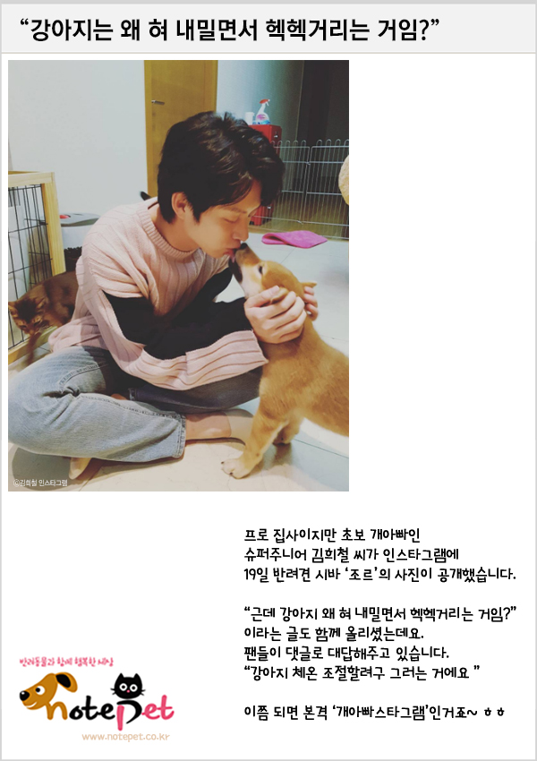 노트펫