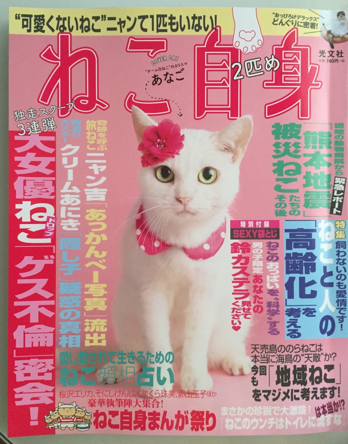 노트펫