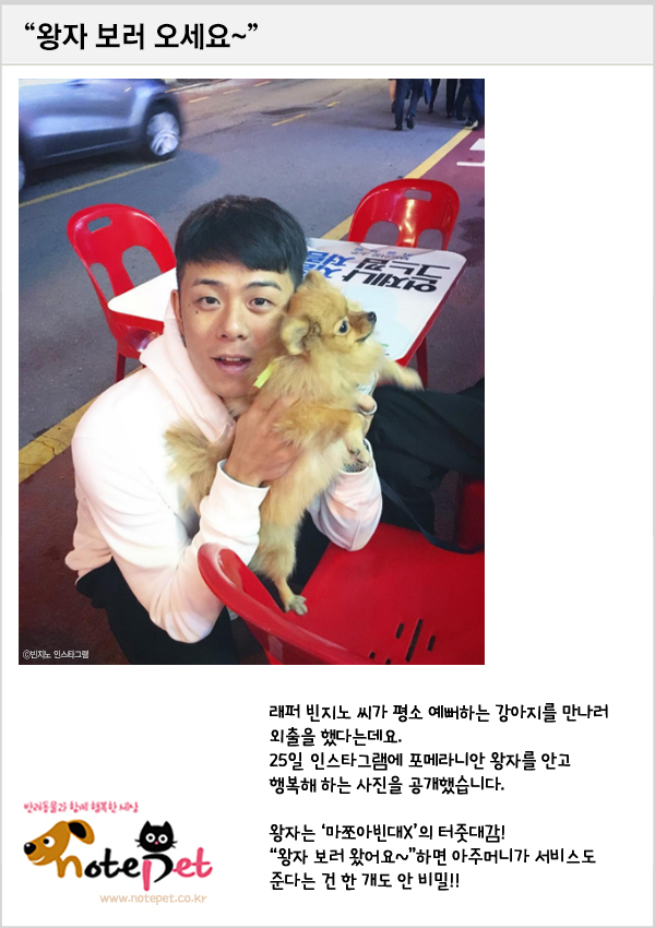 노트펫