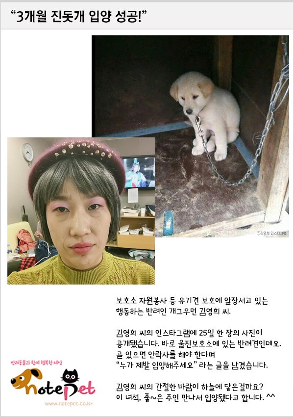 노트펫