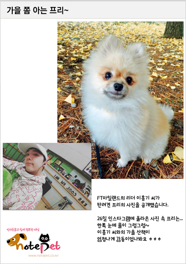 노트펫