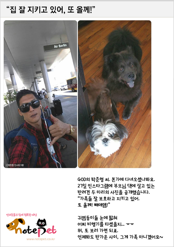 노트펫