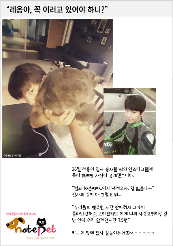 노트펫