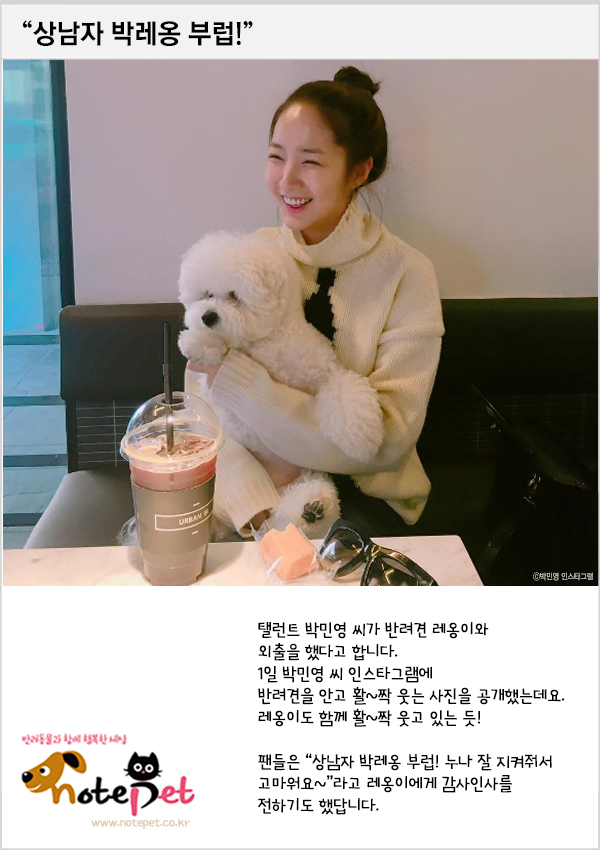 노트펫