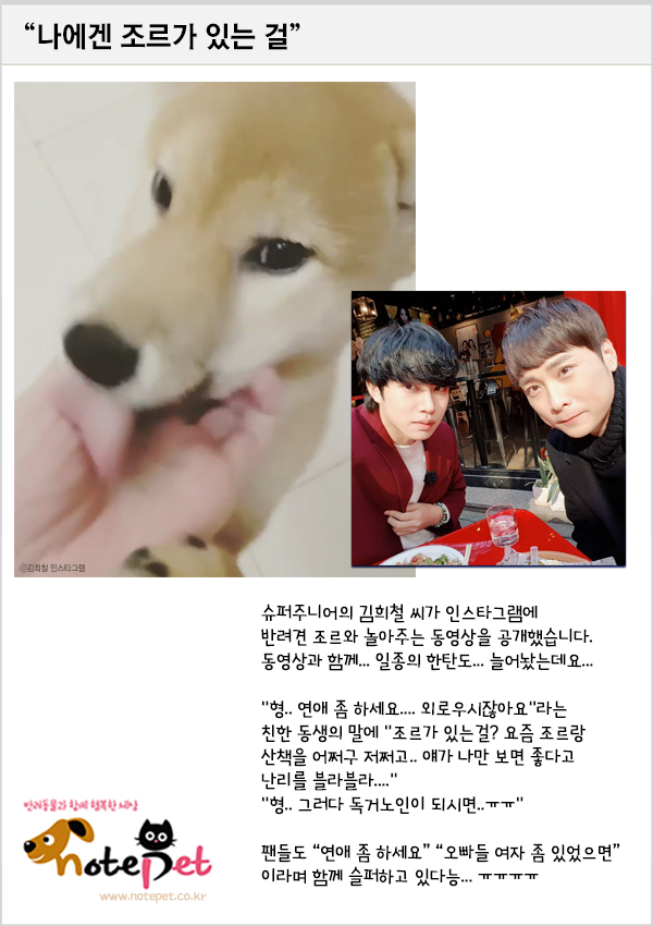 노트펫