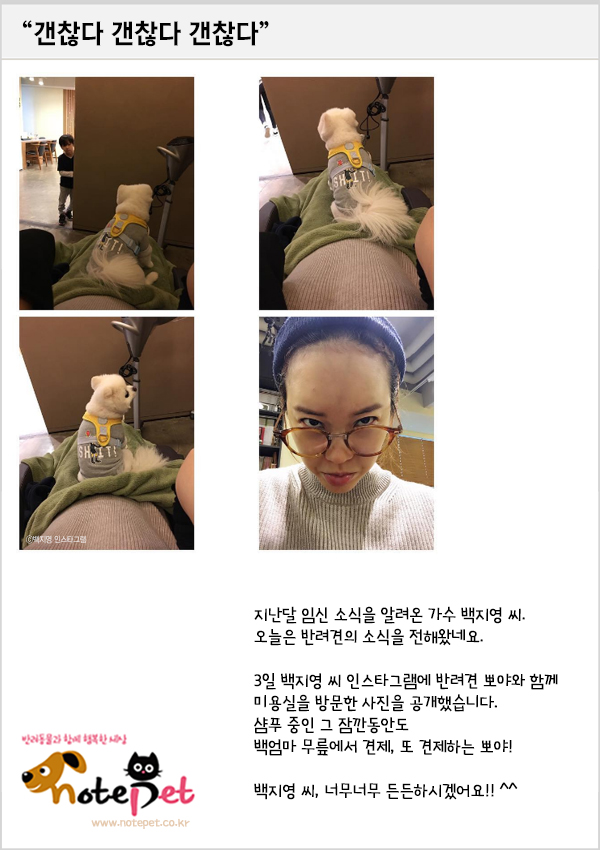 노트펫