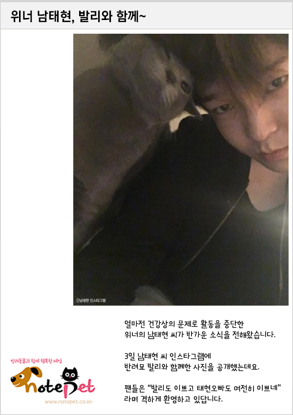 노트펫