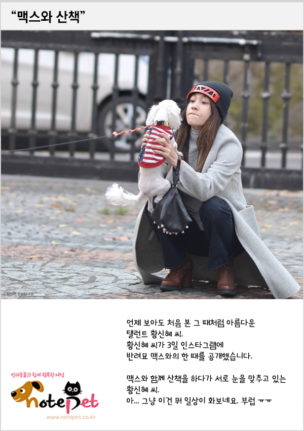 노트펫