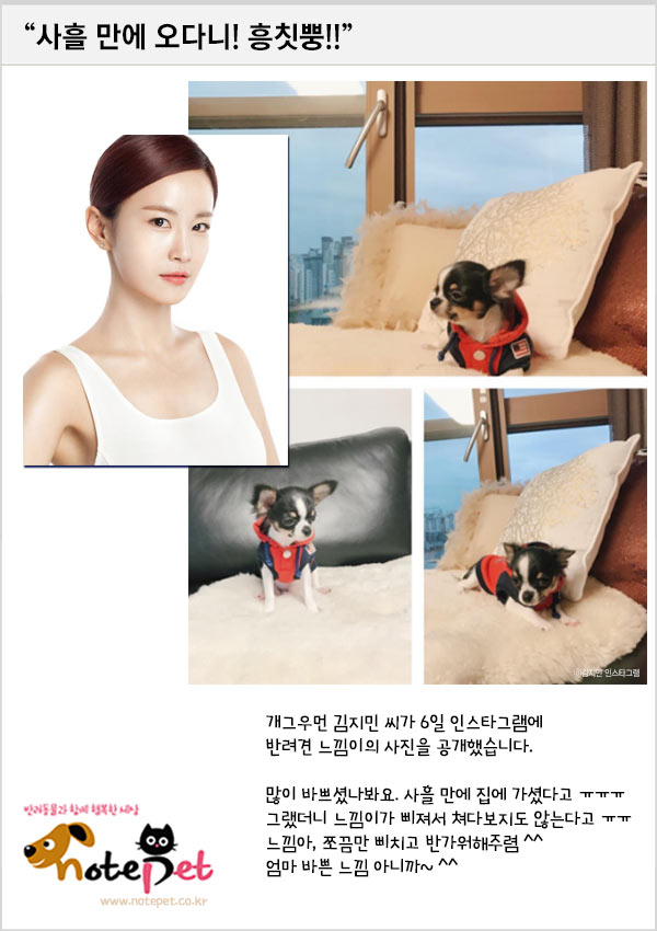 노트펫