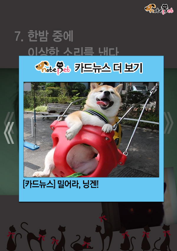 노트펫