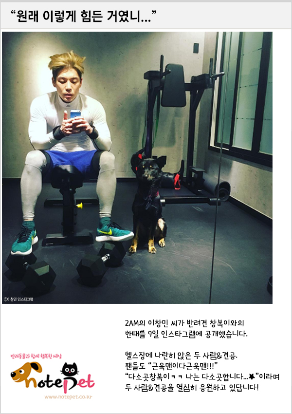 노트펫
