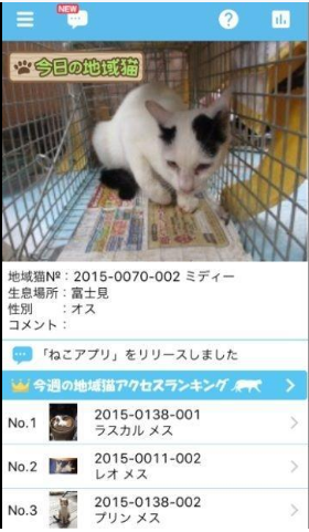 노트펫
