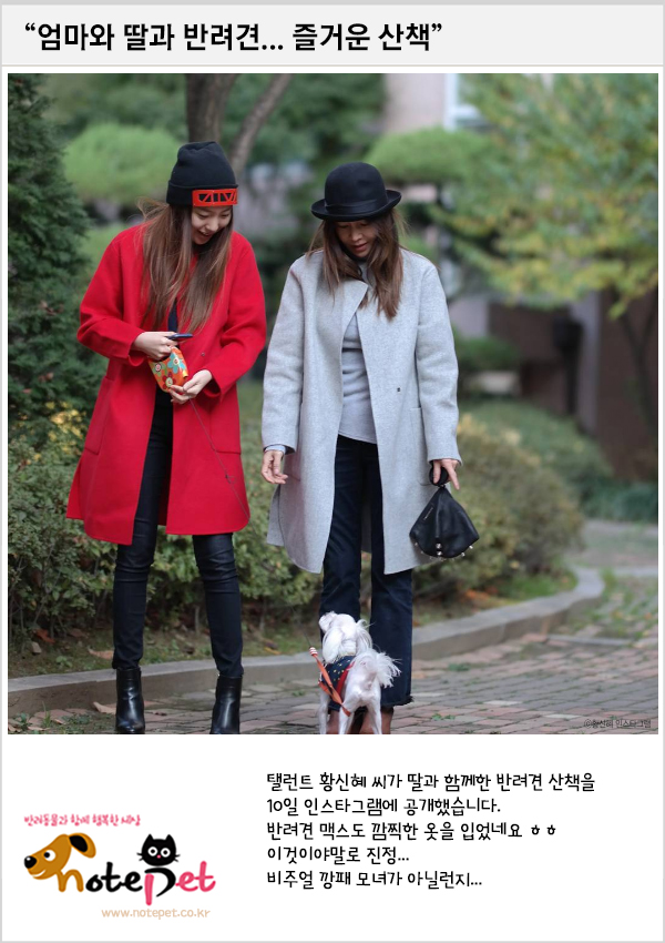 노트펫