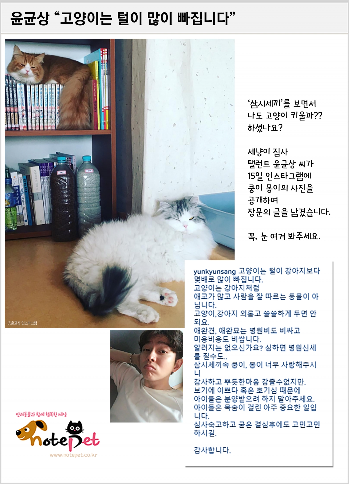 노트펫
