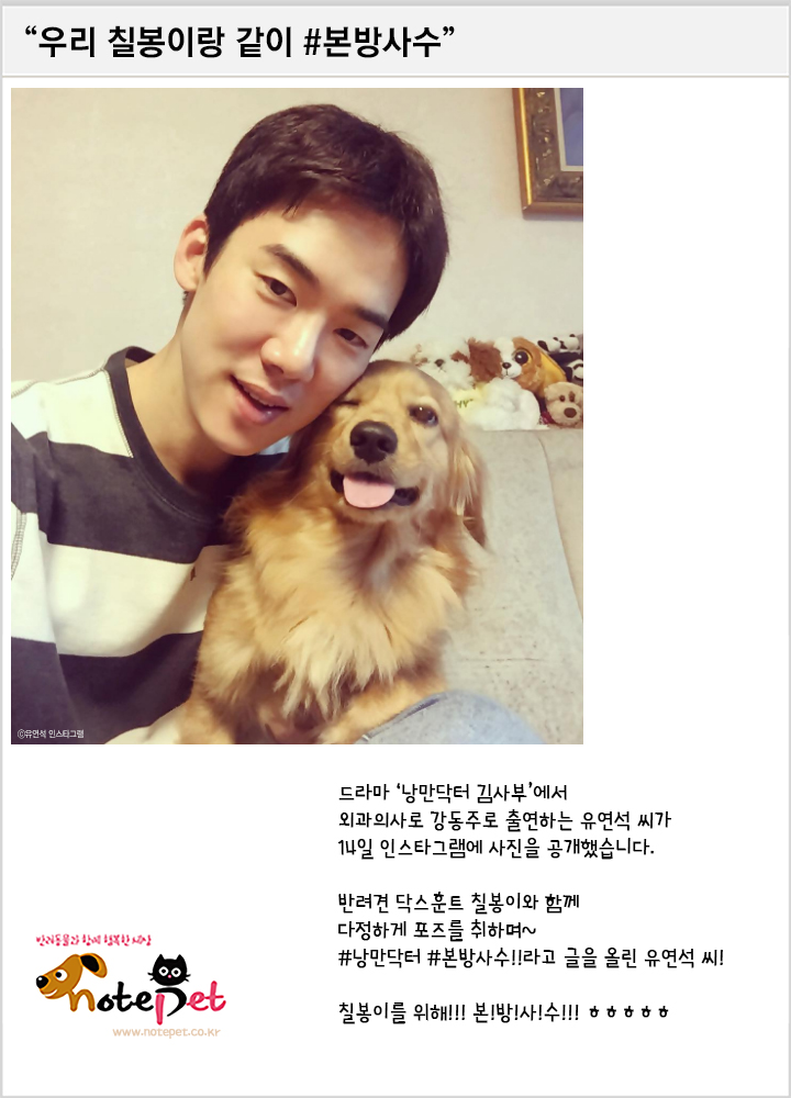 노트펫